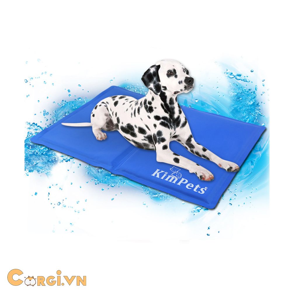 TẤM LÓT GIẢI NHIỆT - COOLING PAD