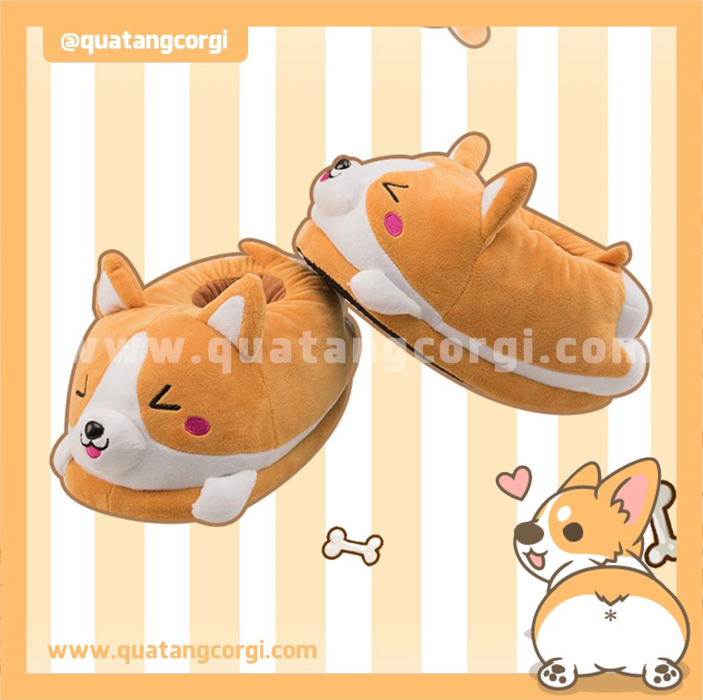 DÉP CORGI ĐẶC BIỆT