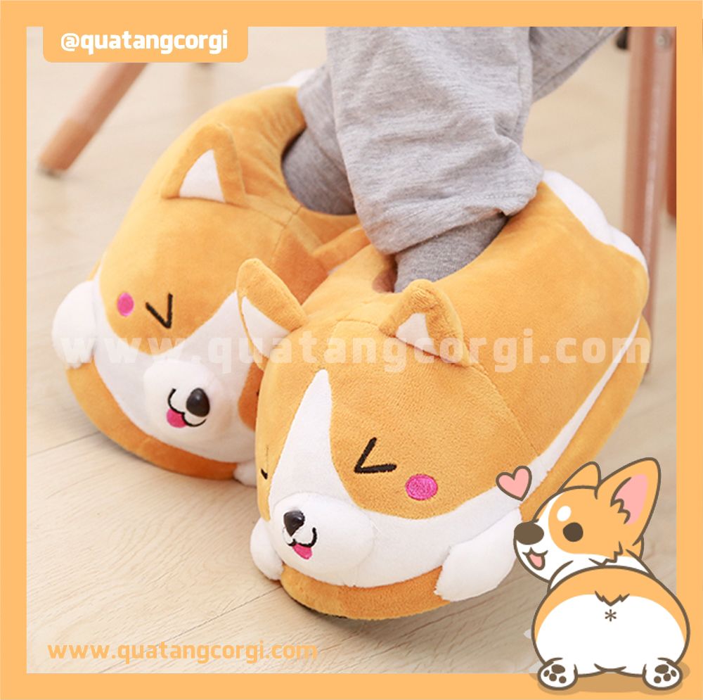 DÉP CORGI ĐẶC BIỆT