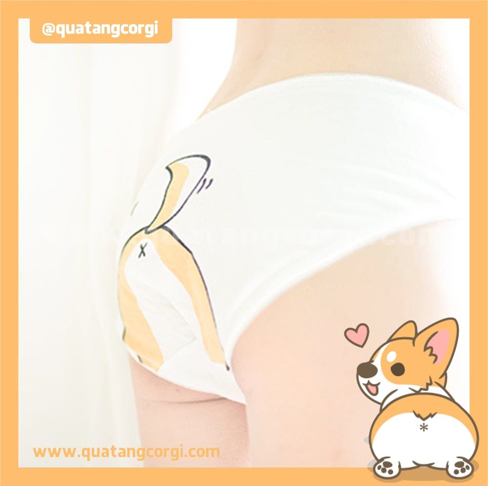 QUẦN SỊP CORGI