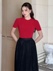 Velvet Skirt