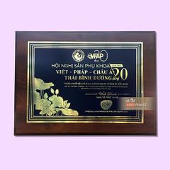 Bảng vinh danh kim loại BVDGD0011