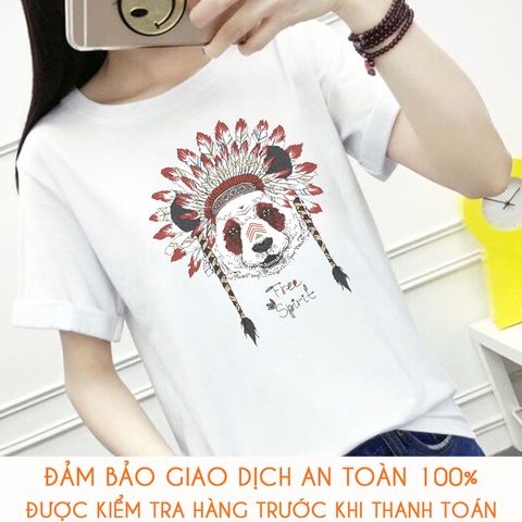  Áo thun teen nữ - M507 