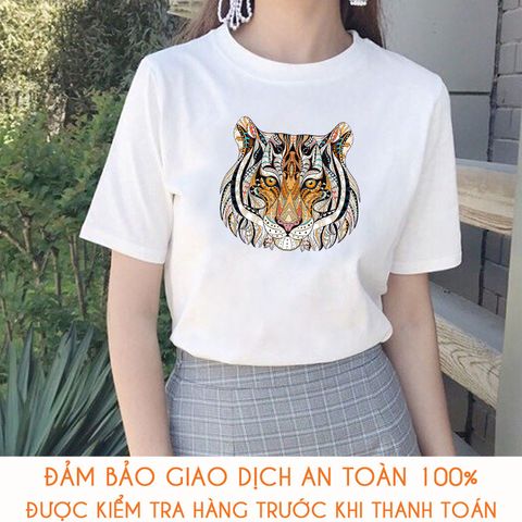  Áo thun teen nữ - M509 