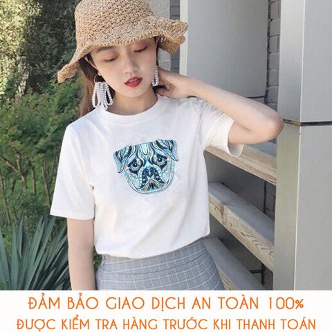  Áo thun teen nữ - M510 