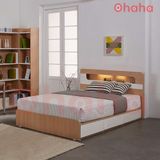 Giường ngủ gỗ công nghiệp cao cấp OHAHA - GC033 - 01 - Kèm đèn Led