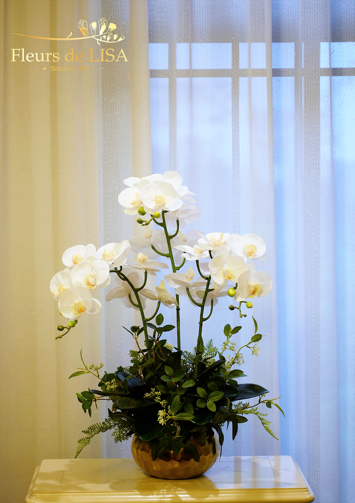  Lan hồ điệp trắng- Bình hoa lụa trang trí nội thất 