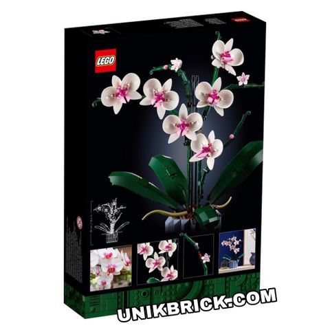  [CÓ HÀNG] LEGO Creator 10311 Orchid Flower 