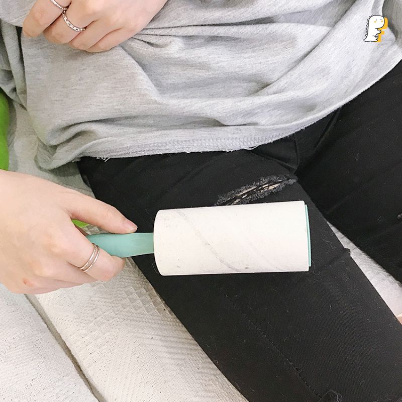 Cây lăn bụi cán gấu Cô bé
