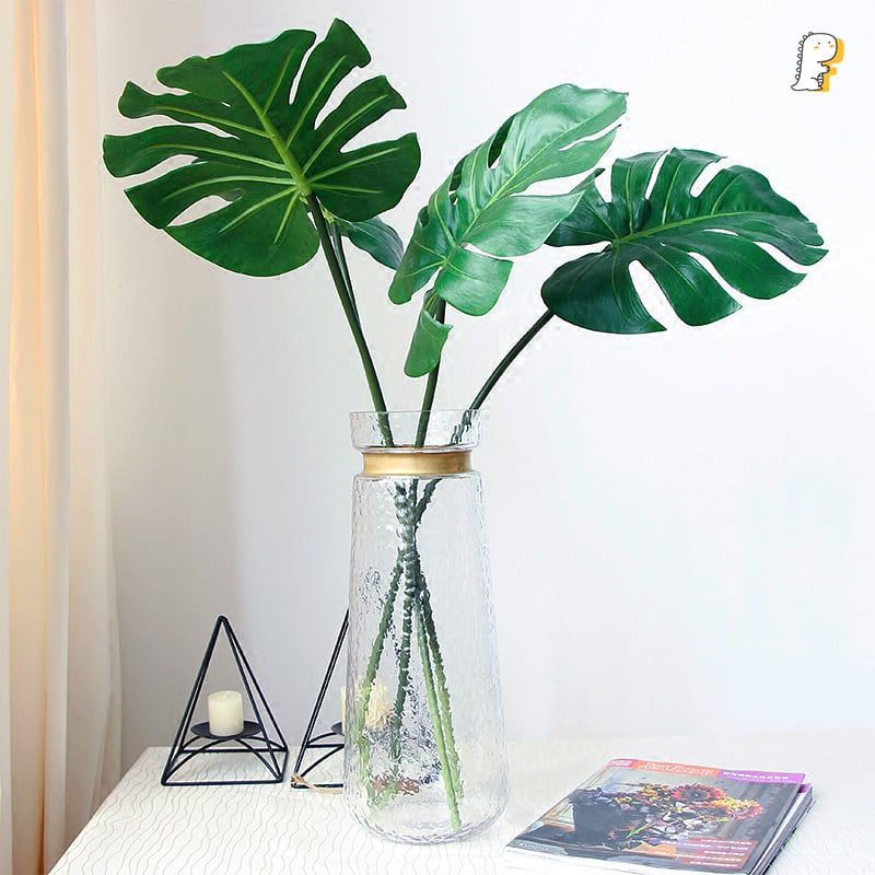 Lá monstera trang trí