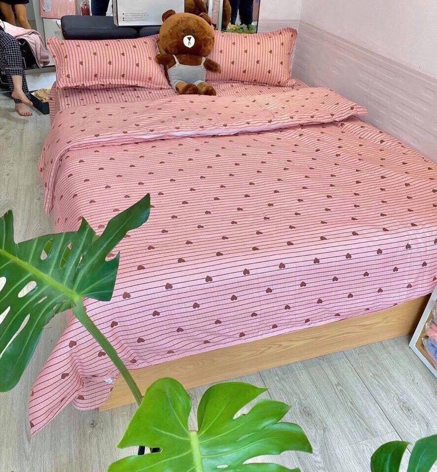 Set Chăn Ga Gối Cotton Poly