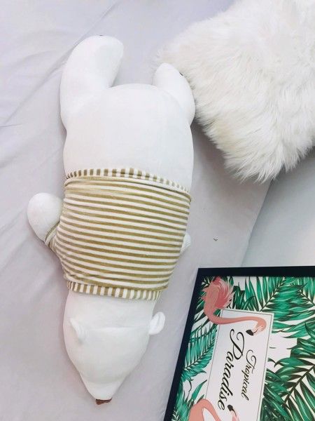 GẤU BẮC CỰC TB2