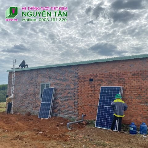Bình Phước: Hệ thống tưới sử dụng điện Năng lượng mặt trời tưới cho sầu riêng tại huyện Bù Đăng