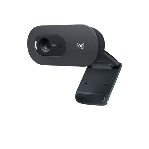 Webcam Logitech C505E