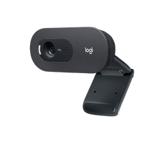 Webcam Logitech C505E