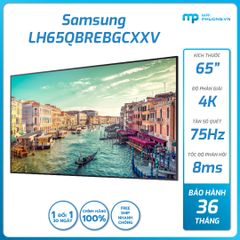 Màn hình Samsung 65 inch 75Hz 4K 3840x2160 LH65QBREBGCXXV