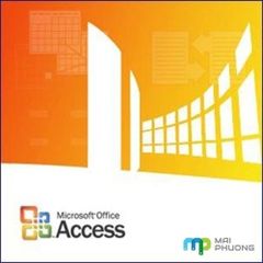 Phần Mềm Access 2013 32-Bit/X64 EN DVD 077 - 06369