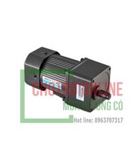 Động cơ-Motor cho băng tải 60W-1pha-220V