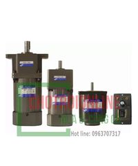 Motor TCG- Động cơ điện TCG 1 pha 220V