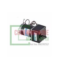 Motor giảm tốc 24V 30W DC2GN30-24