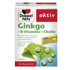 Viên uống bồi bổ trí não Aktiv Ginkgo DoppelHerz