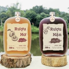 Chai thủy tinh tròn phun mờ 500ml nắp nhôm