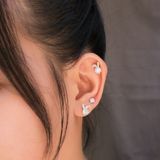  Bunny CZ Stone Silver Earrings - Hoa Tai Thỏ Đính Đá CZ 6mm Ddreamer - 3111BTH 