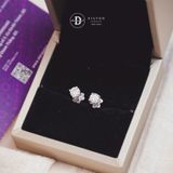  Bông Tai Đá Moissanite Kiểu 4 Chấu Chuôi Vặn Bạc 950 Xi Vàng Trắng Cao Cấp - Moissanite Silver Earrings MBT010 - MBT011 - MBT012 