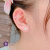 Bông Tai Ngọc Trai Nhân Tạo - Bông Tai Bạc 925 Kiểu Ngọc Trai 5mm 7mm Viền Line Đá - Pearl Diamond Button 8 - 10 -11mm Nhỏ 648BTH 675BTH