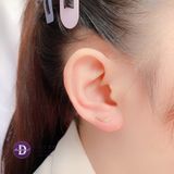  Earclimber Mini Plain Leaf -  Gold/ Rose Gold Plated Earrings  Hoa Tai Bạc 925 Xi Vàng/Vàng Hồng Earclimber Mini Plain Leaf 2381ECB 