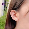 Full Heart Silver Earrings -  Hoa Tai Trái Tim Đính Đá Ddreamer - 3090BTH