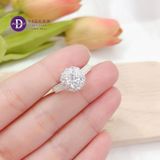  Cz Stone Silver Ring - Nhẫn Bạc 925 Cao Cấp -  Nhẫn Premium Ổ Hoa Đá Chủ 6li - Infinity - Đai 2 Line Đá- P2645NH - Ddreamer 