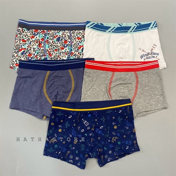 Set 5 quần chip T3X cho bé trai