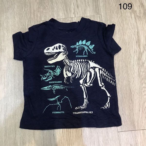 (3M) Áo xanh đen hóa thạch dino