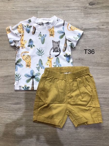 Bộ thú quàn vàng - T36