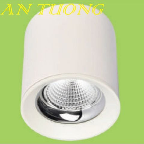  đèn lon led ốp trần, ốp nổi 15w viền trắng 