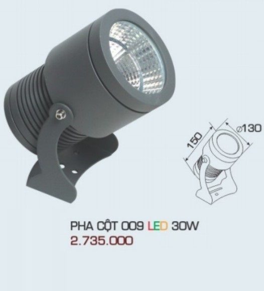 ĐÈN RỌI NGOÀI TRỜI ANFACO PHA CỘT 009 LED 30W