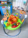 Ghế nhảy Fisher Price Tiger Time Jumperoo with Music, Light & Sounds