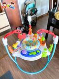 Ghế nhảy Fisher Price Animal Activity Jumperoo