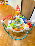 Ghế nhảy Fisher Price Animal Activity Jumperoo