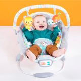 Ghế rung họa tiết động vật hoang dã Bright Starts