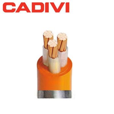 Dây cáp điện Cadivi CXV/FR 2x1.5