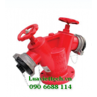 Đầu trụ chữa cháy 2 họng DN65 (VN)