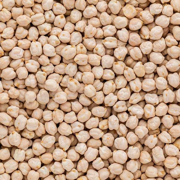 dau ga trang an do star organie white chick peas kabuli chana garbanzo beans bengal gram 500gr