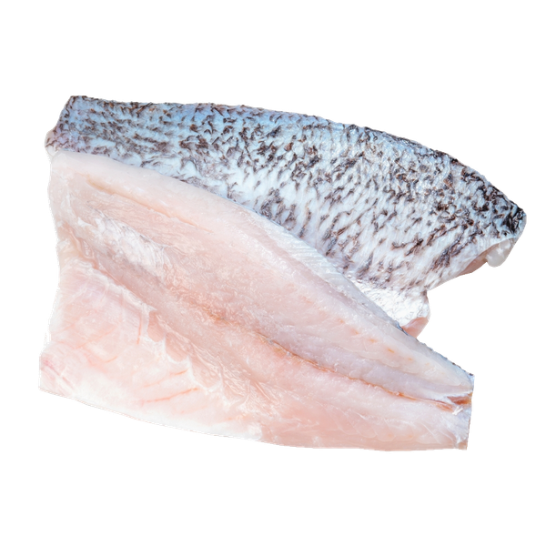 Cá Vược Đại Dương Fillet sashimi - Barramundi Fillet