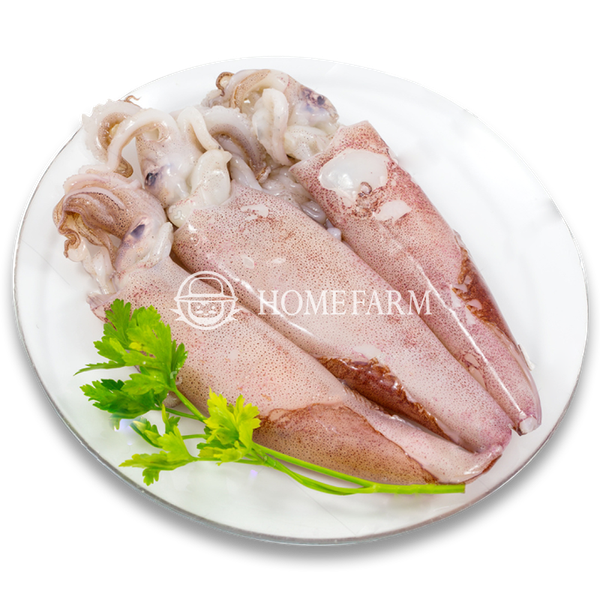 Mực ống Nhập Khẩu làm sạch (size 200g-400g)