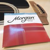 Bộ Dây Guitar Acousitc Morgan MA12