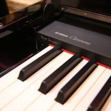 Đàn Piano Điện Yamaha CLP-S308PE