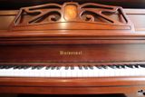 Piano Universal NS230C Silent