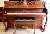 Piano Universal NS230C Silent